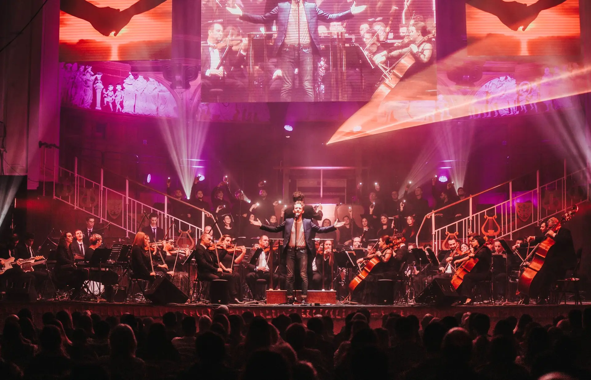 harry-potter-5-c-star-entertainment-2024