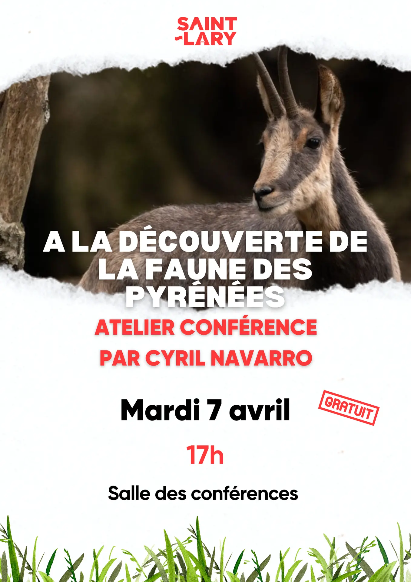 Animations Printemps OT - jeux bois