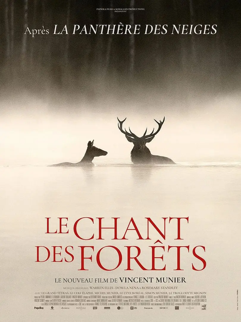 Film le-chant-des-forets