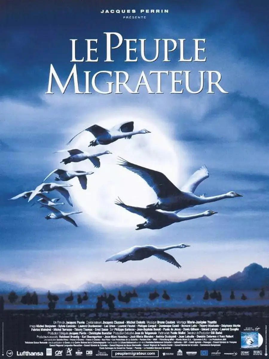 le-peuple-migrateur-le-palais