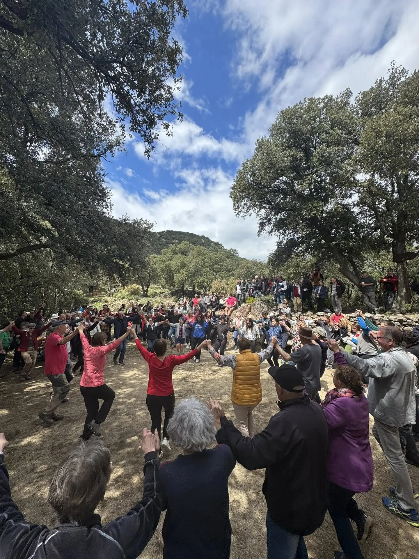 492367305_1093836462790701_31158914810397585_n