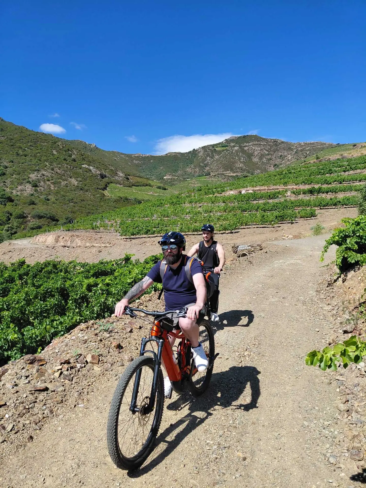 8-oenotourisme-VTT-electrique-collioure