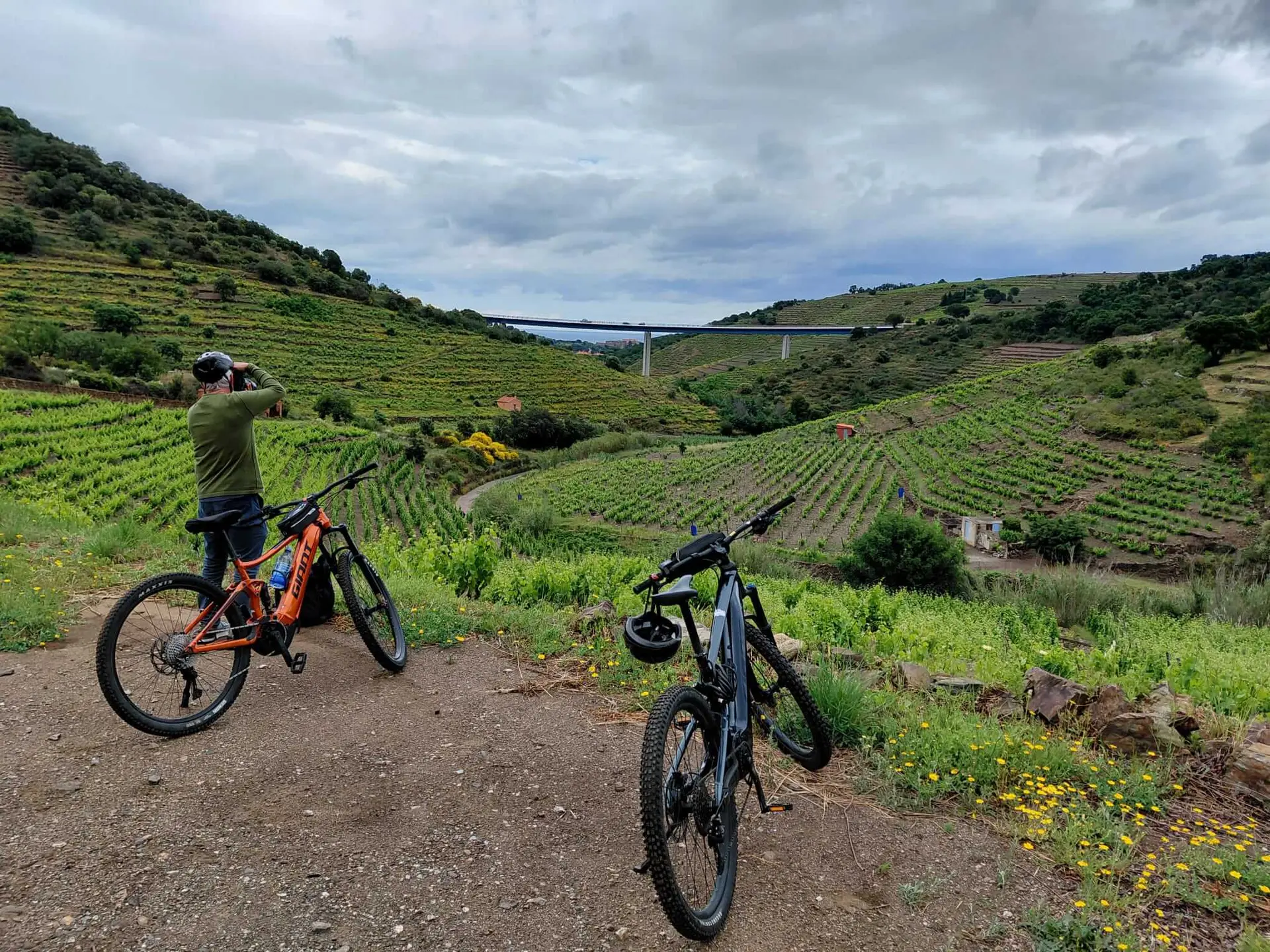 10-oenotourisme-VTT-electrique-collioure