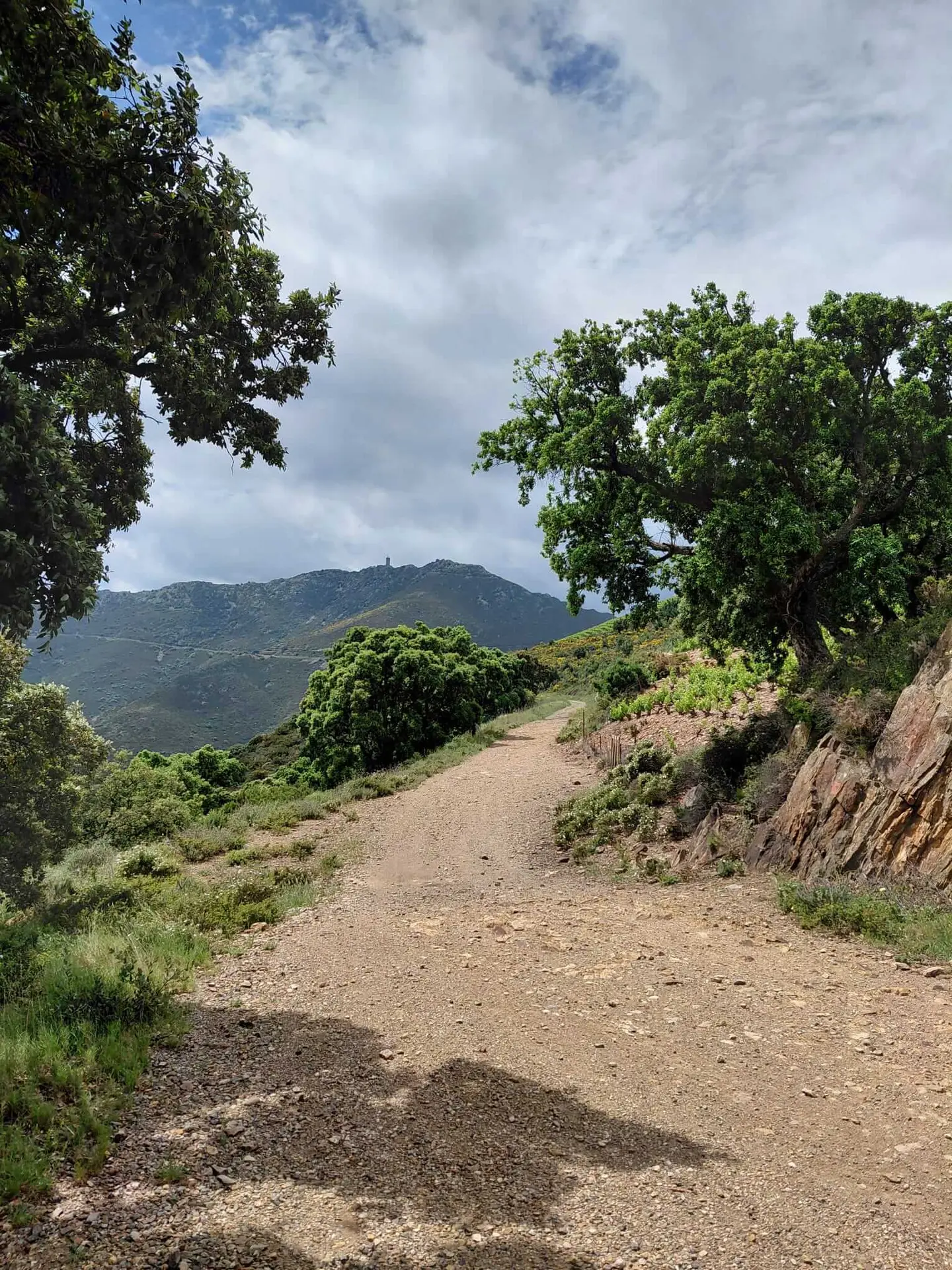 13-oenotourisme-VTT-electrique-collioure