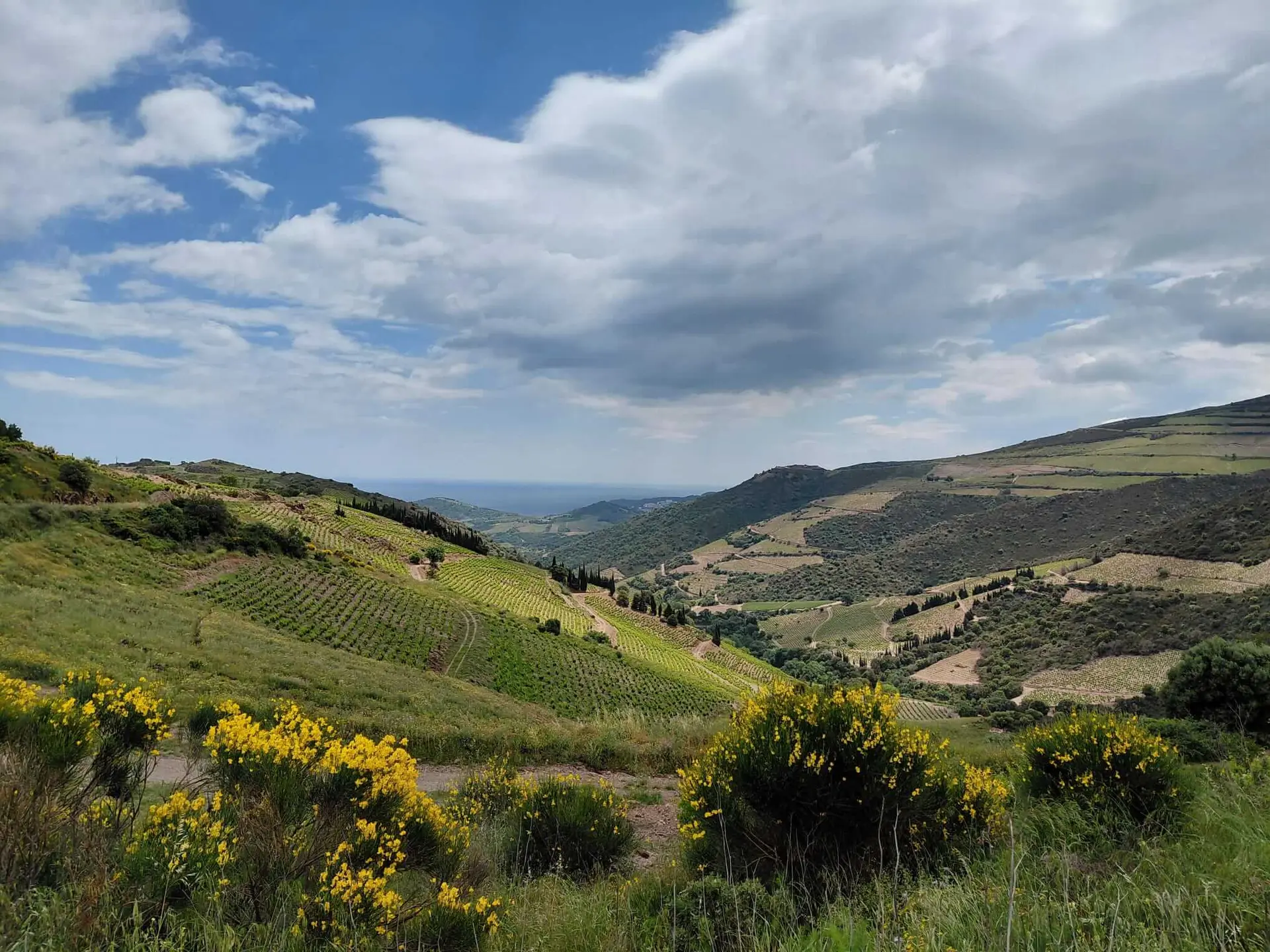 15-oenotourisme-VTT-electrique-collioure