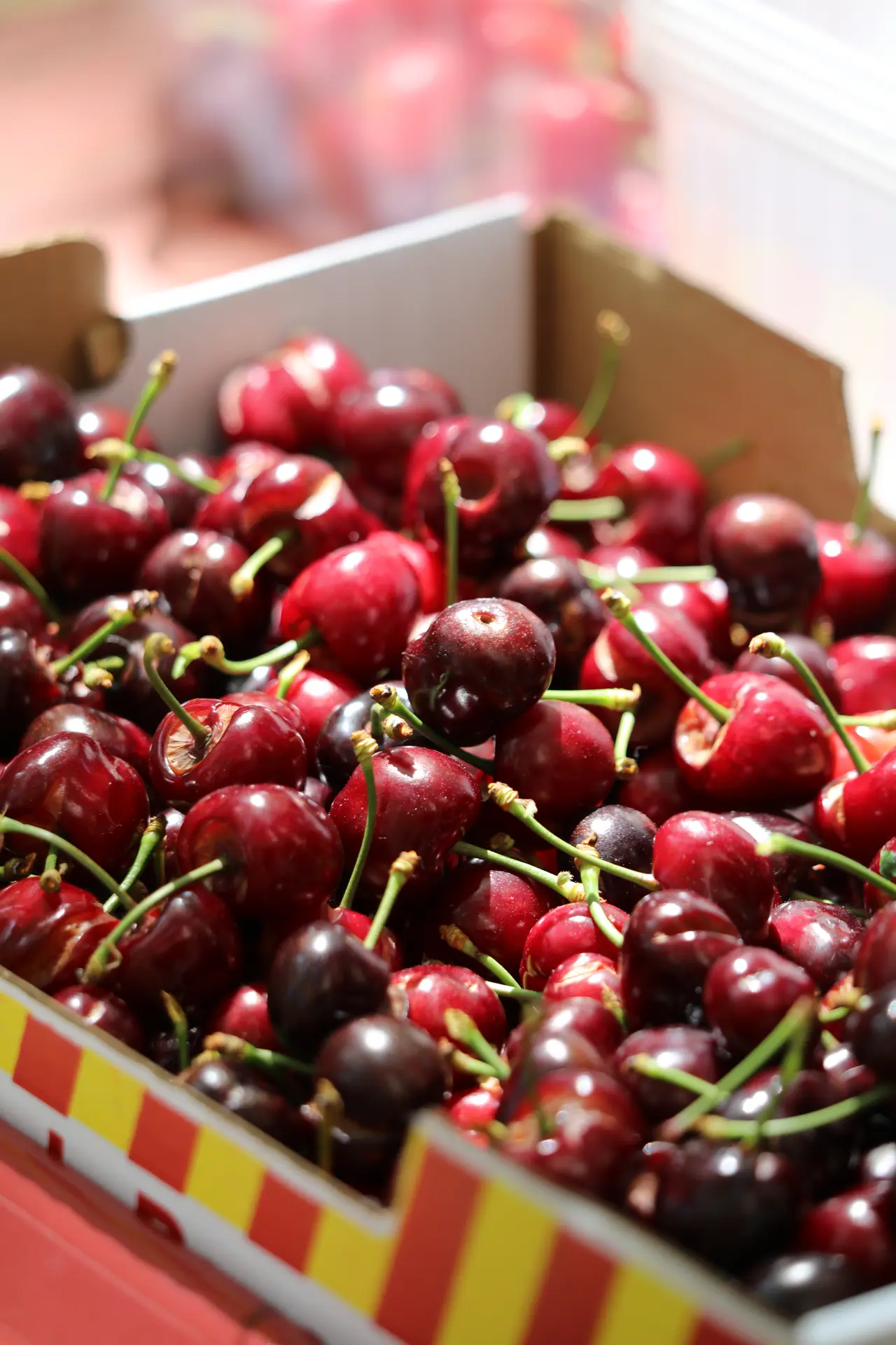 fête de la cerise 2026 - céret