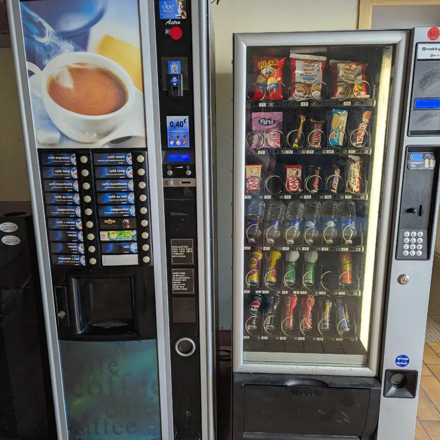 Diorama rhinoceros Tautavel