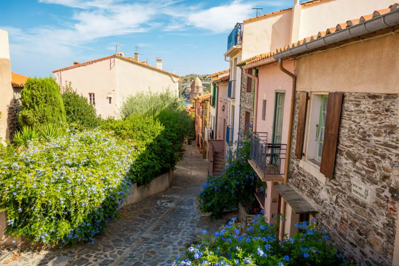 2023-collioure-insolite-fauvisme