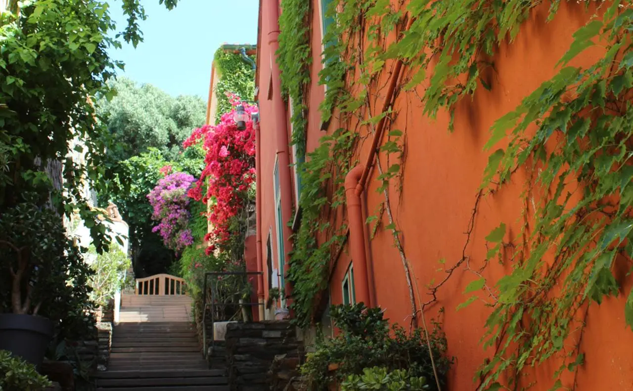 2023-collioure-insolite-fauvisme2