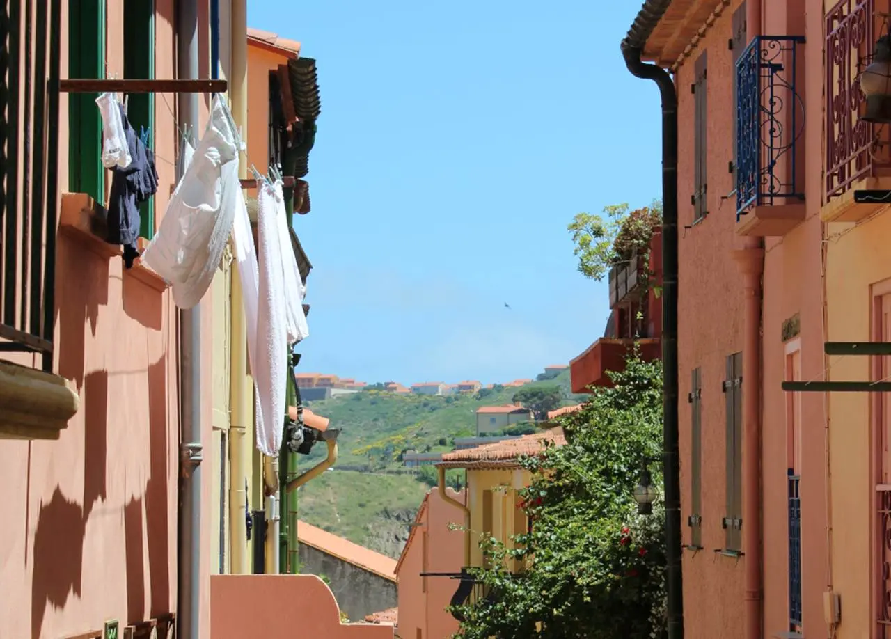 2023-voyage-histoire-fauvisme-3