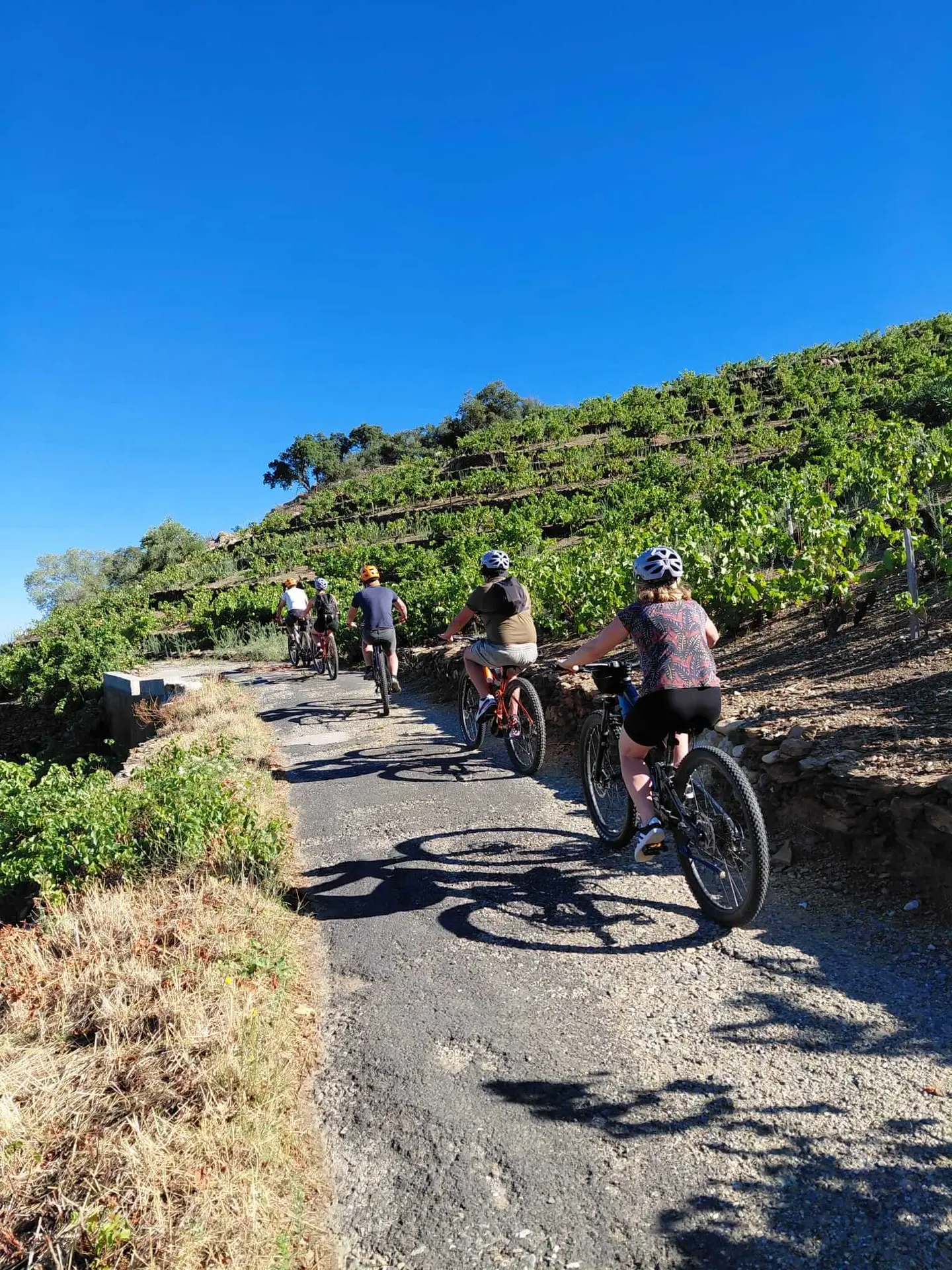 3-oenotourisme-VTT-electrique-collioure
