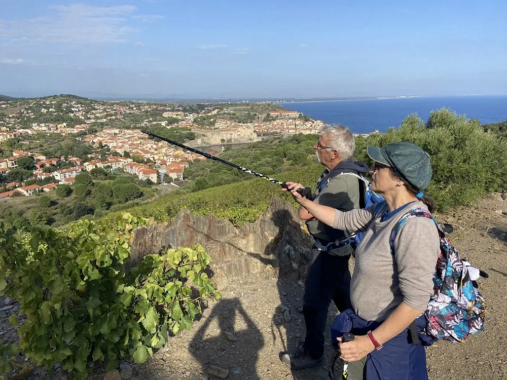vinohrando-collioure