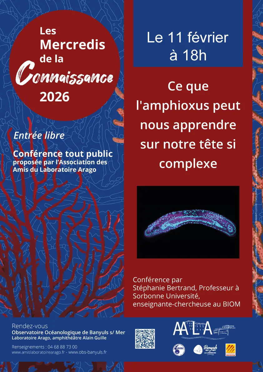 Affiche-BERTRAND_110226