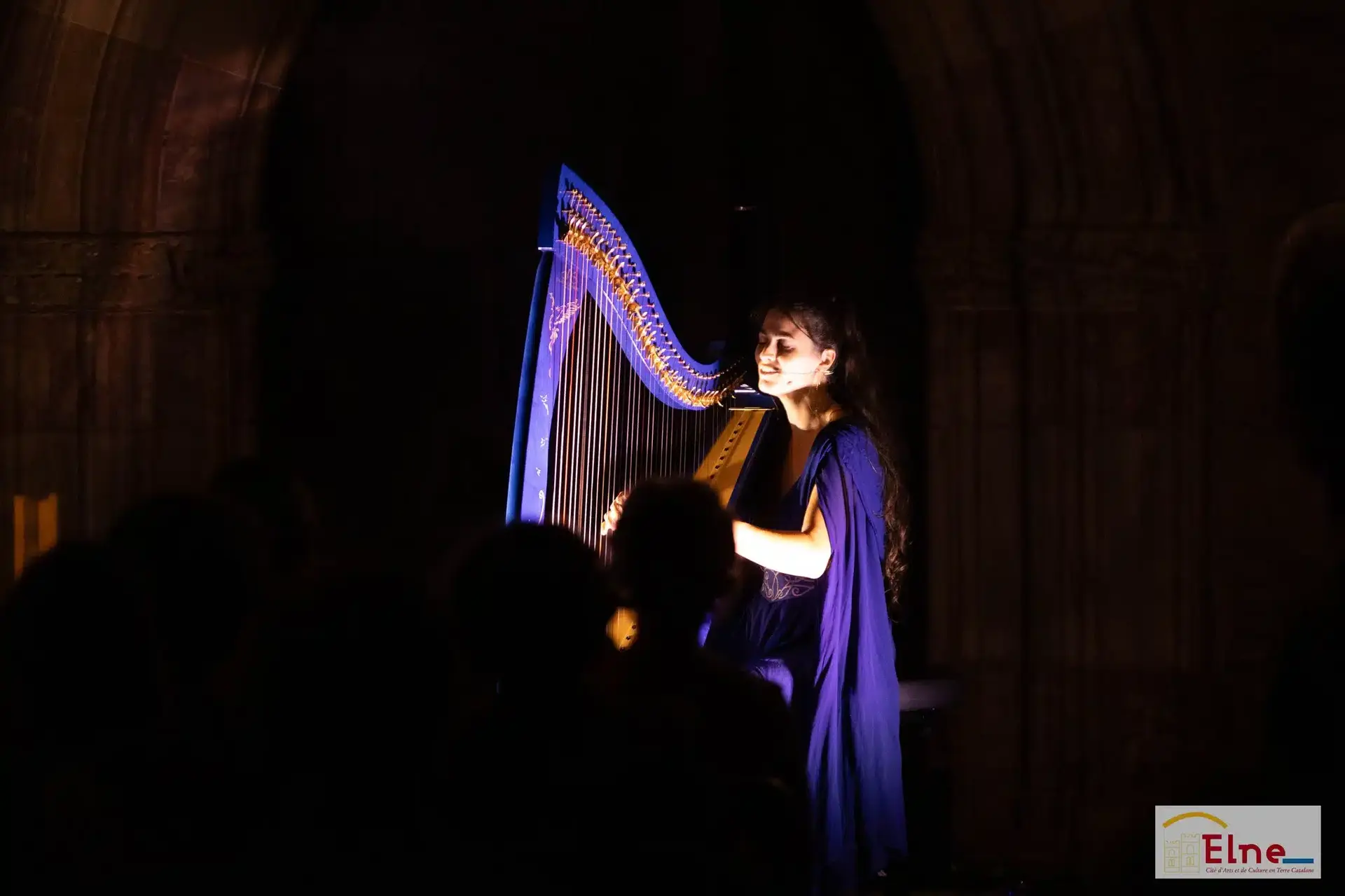 CONCERT HARPE ELNE