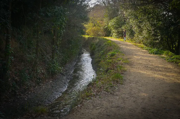 Cami Del Rec del Moli 1