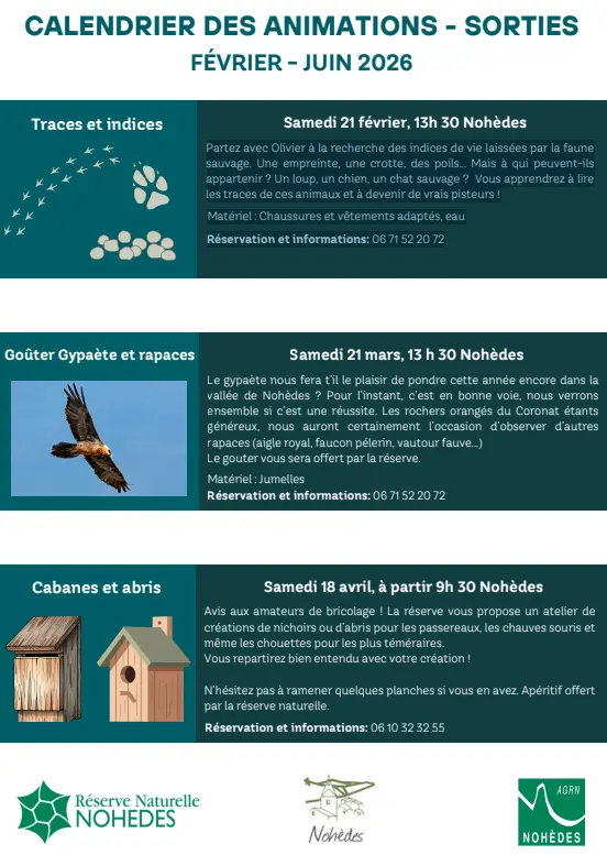 Capture d’écran 2026-02-19 123921