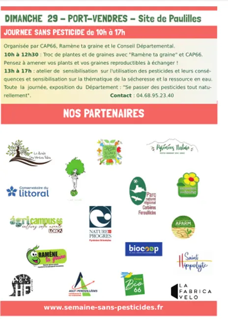 Capture d'écran 2026-02-20 170757