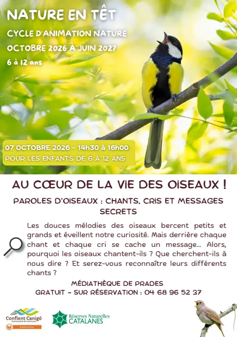 Capture d'écran 2026-09-03 095445
