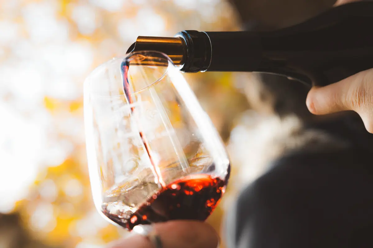 Degustation_Domaine_de_Villeclare-Hugo_Pages-22048-1200px