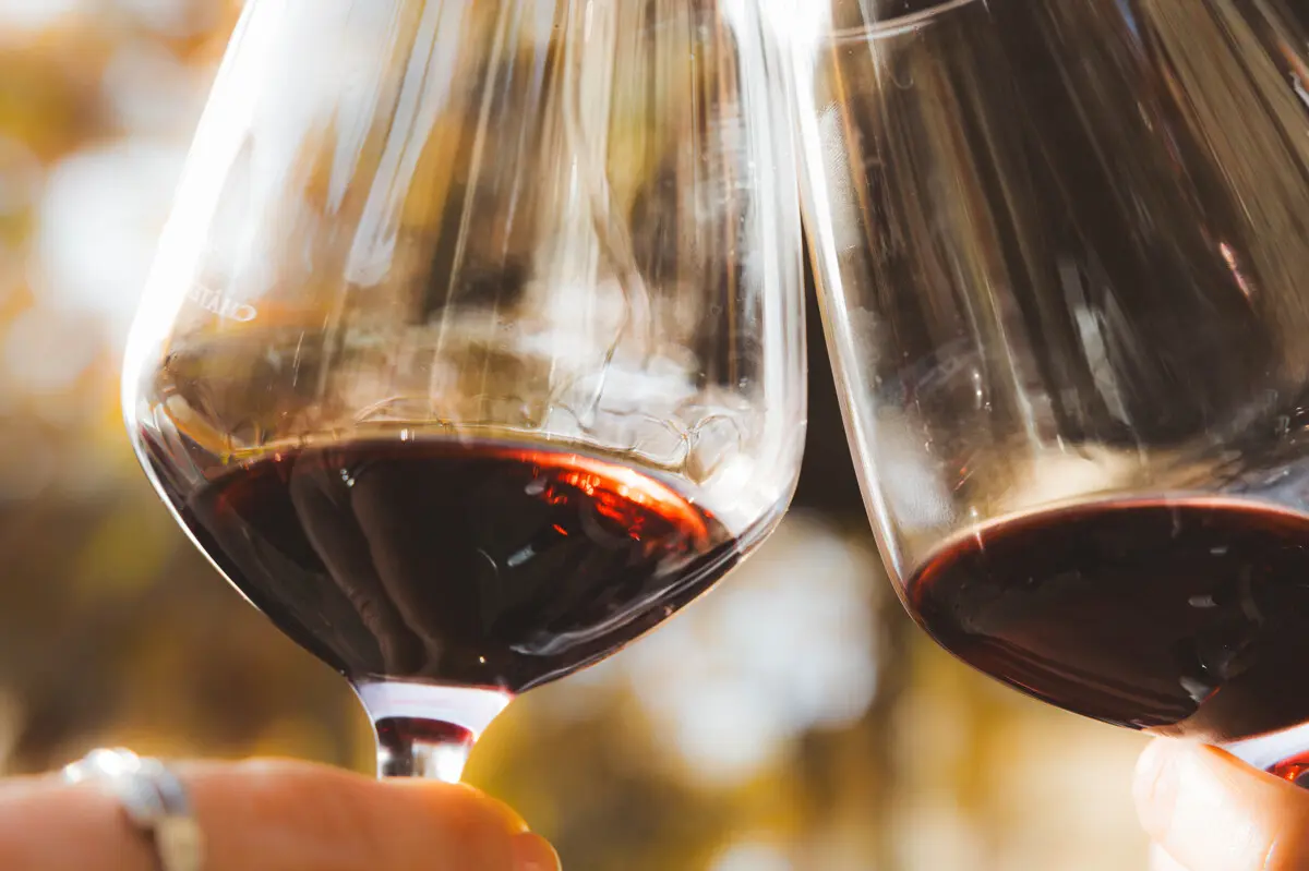 Degustation_Domaine_de_Villeclare-Hugo_Pages-22052-1200px