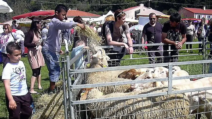 FOIRE AUXX CHEVREAUX