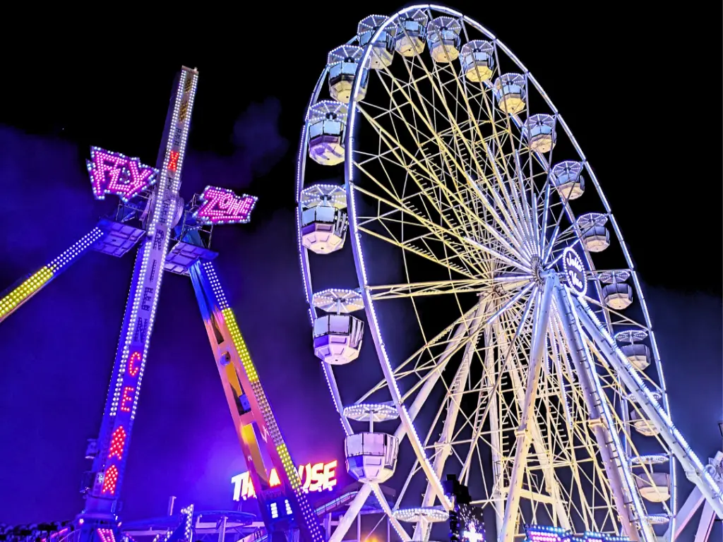FOIRE SAINT MARTIN 1