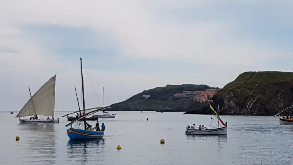 Fête-de-l'anchois-collioure-3