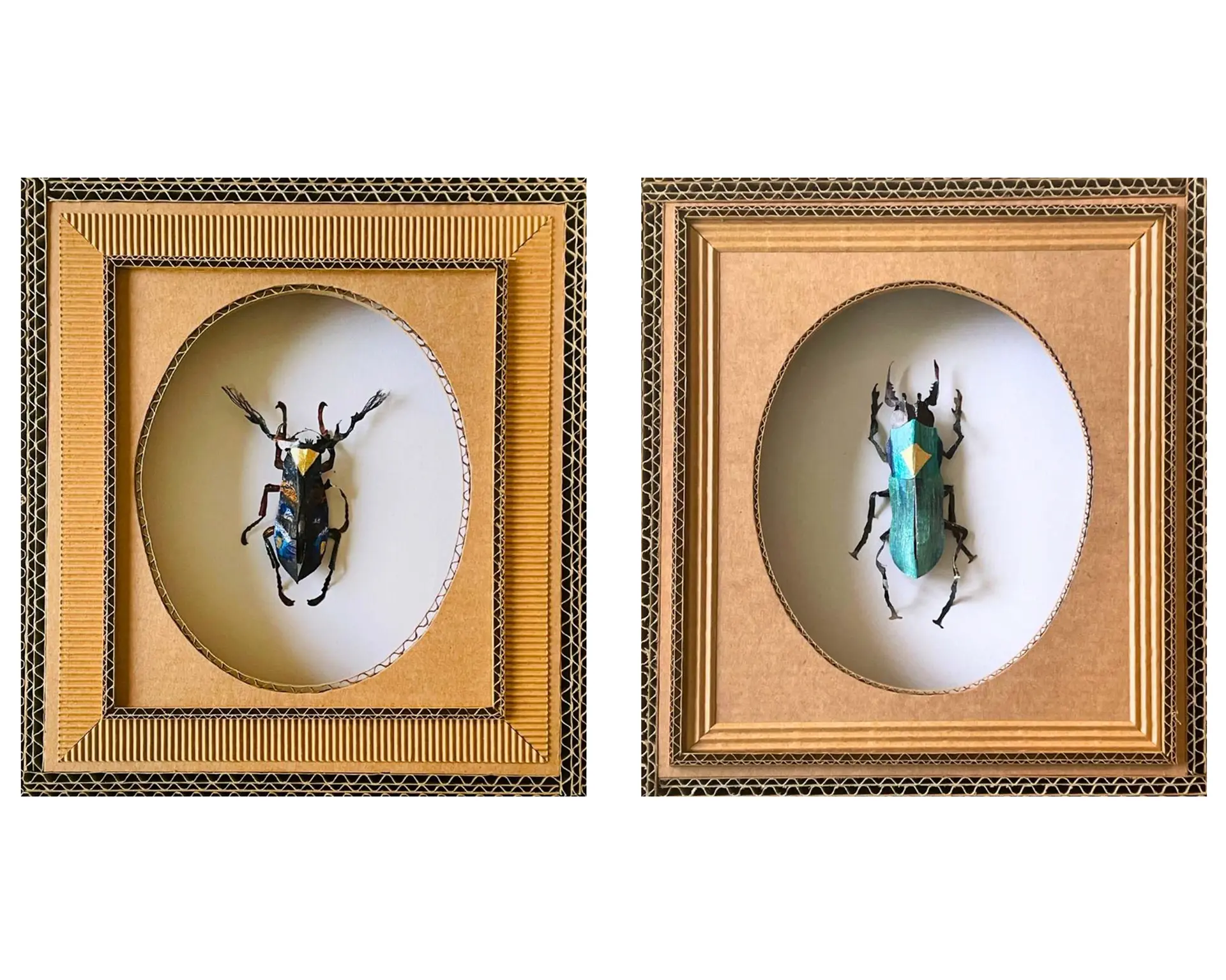 exposition « Les insectes » d’Hélène Lacquement