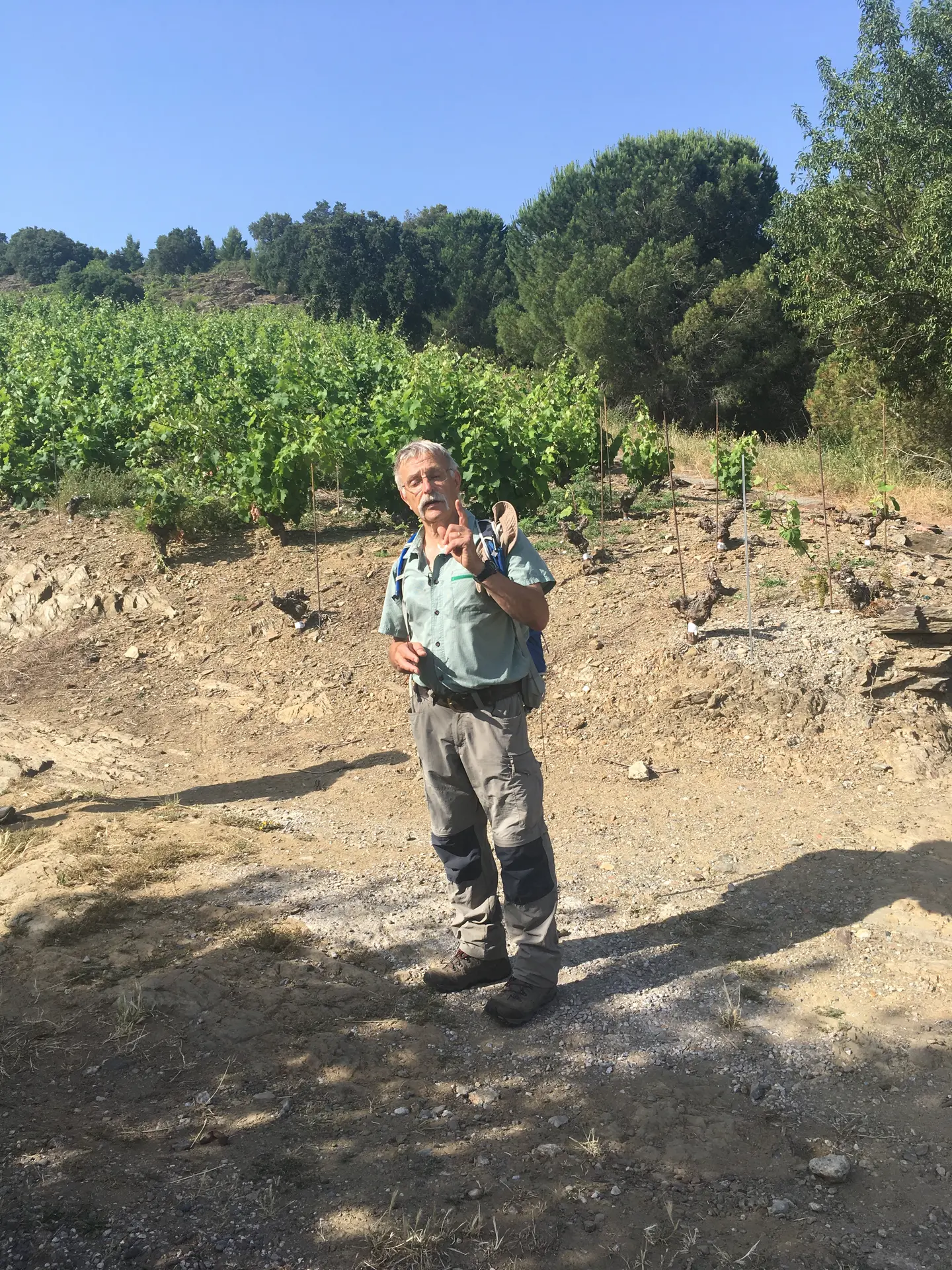 Vinohrando-collioure