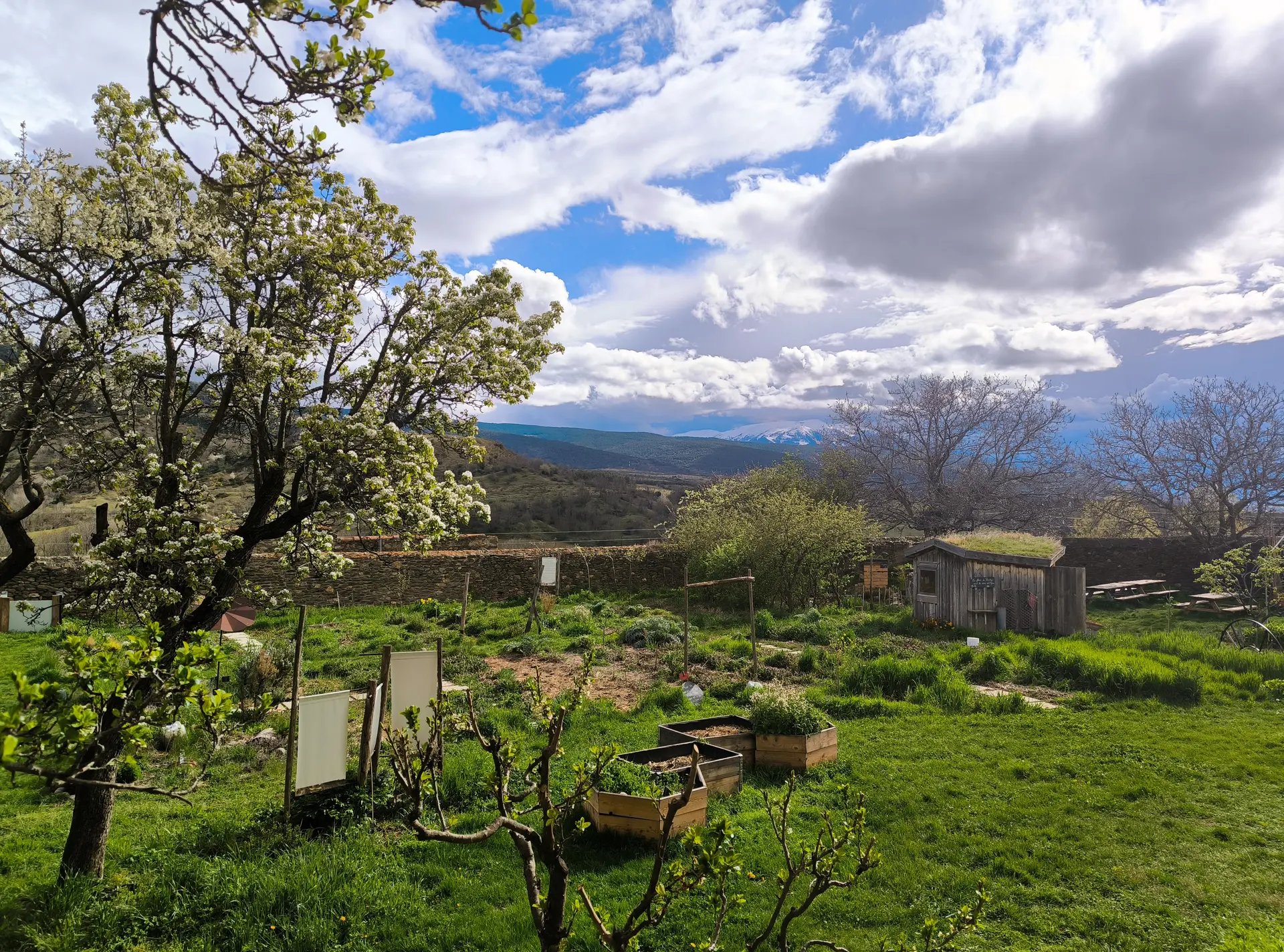 Jardin printemps MDC