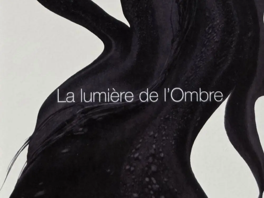 La Lumière de l'Ombre-Visuel