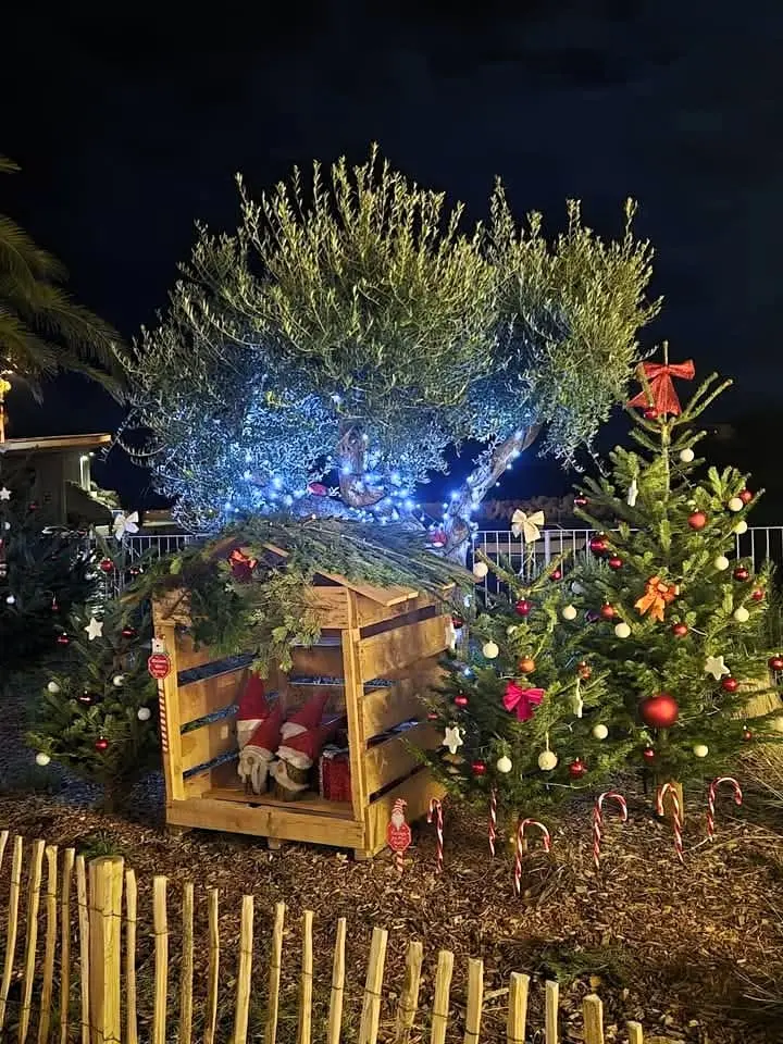 MARCHE DE NOEL CERBERE