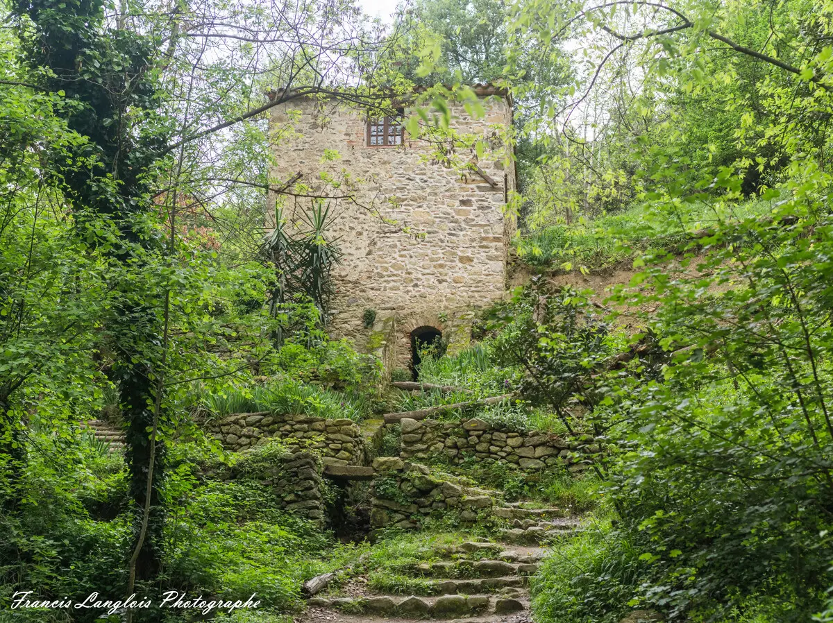 Moulin_de_la_Pave-Francis_Langlois-889-1200px