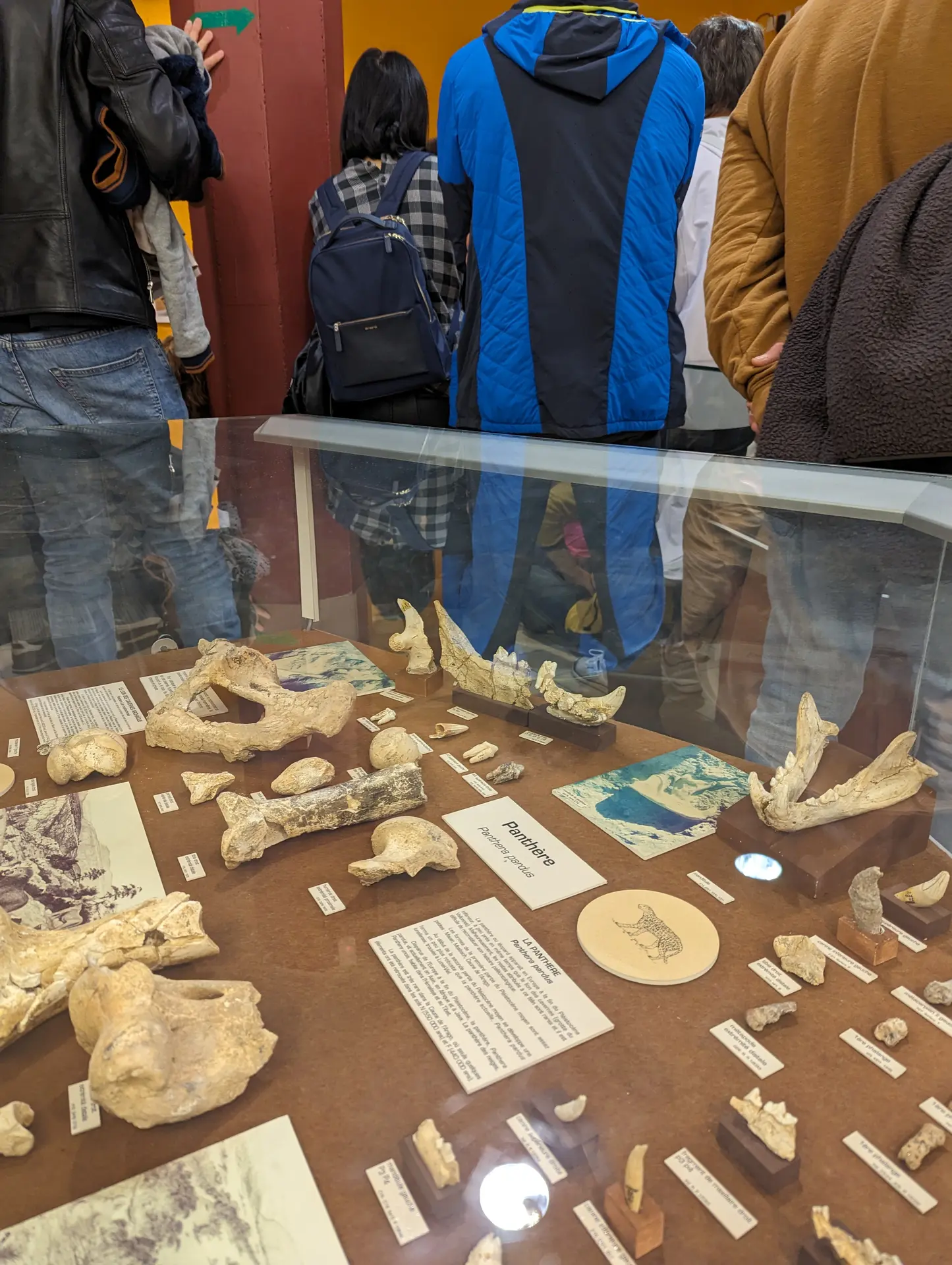 Collection archéologique