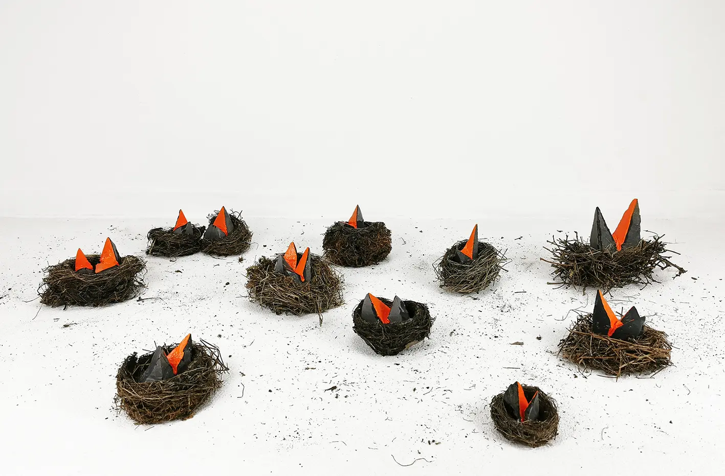 Pierre Fauret expo sant roch