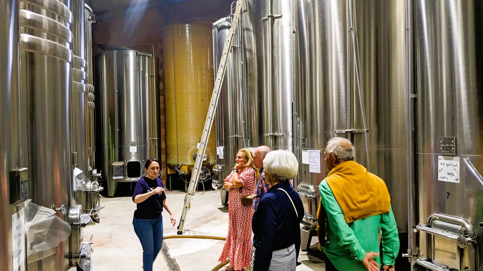 Sol_Payr_Bettina_Bauer_3_