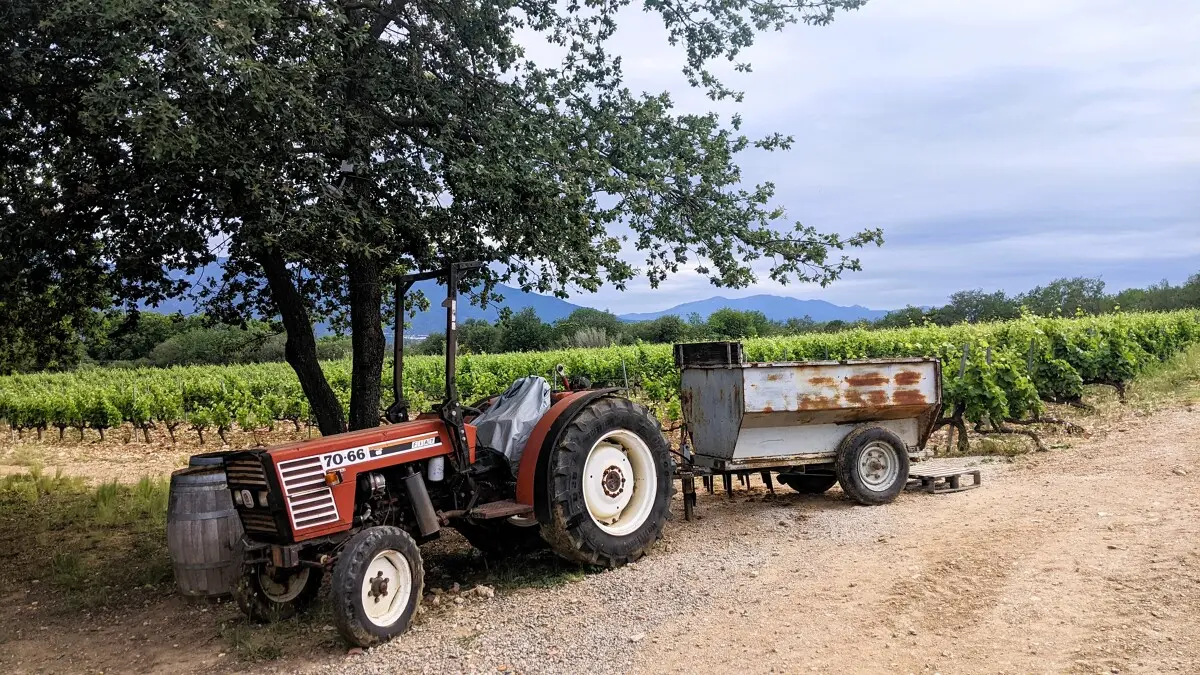 Sol-Payre-Bettina-Bauer--33-.jpg-1200px