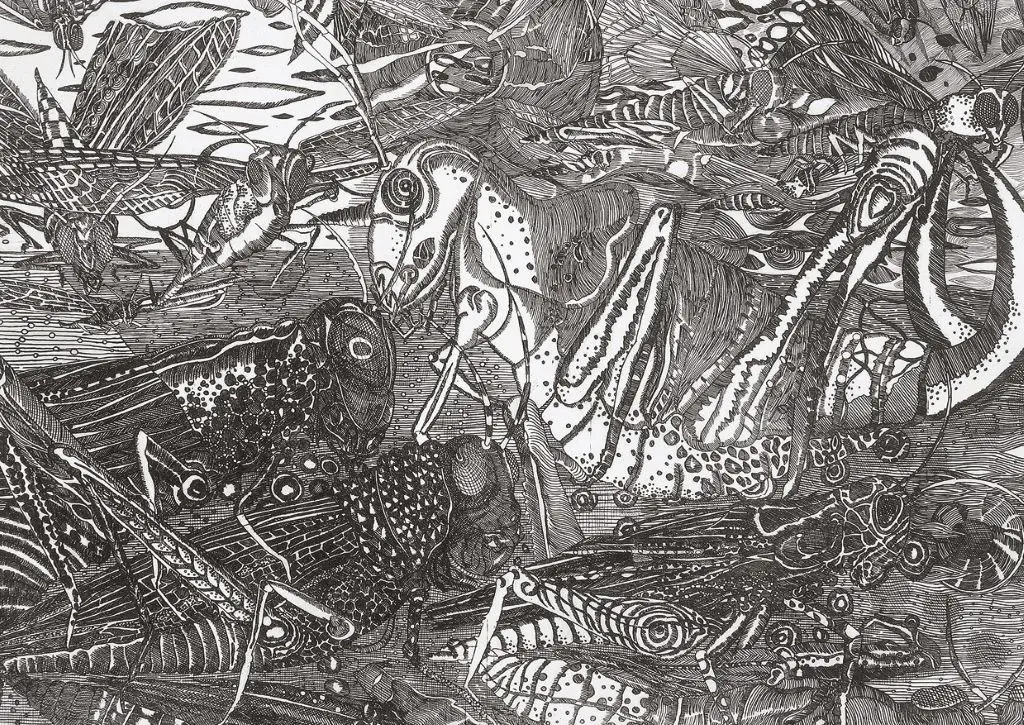 Trente Ans de Gravure - EXPO