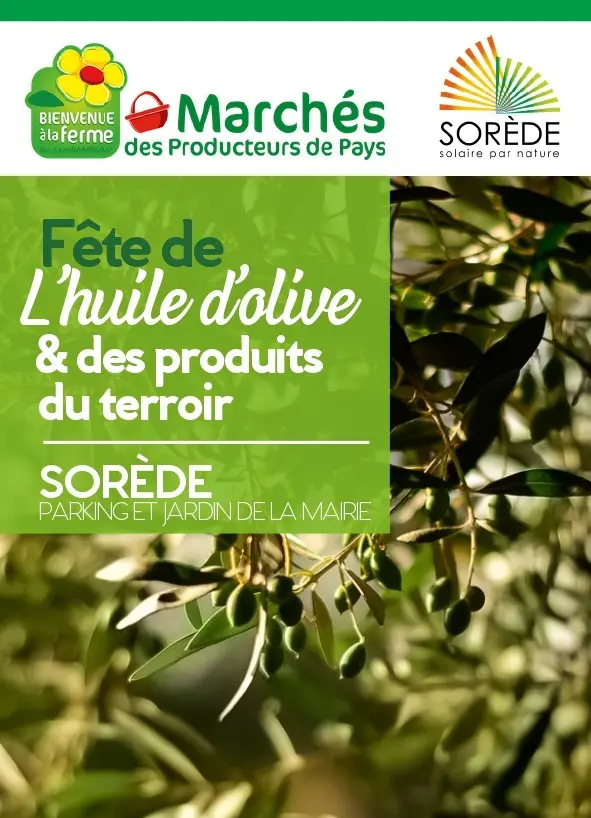 V2 SOREDE 2026_page-0003