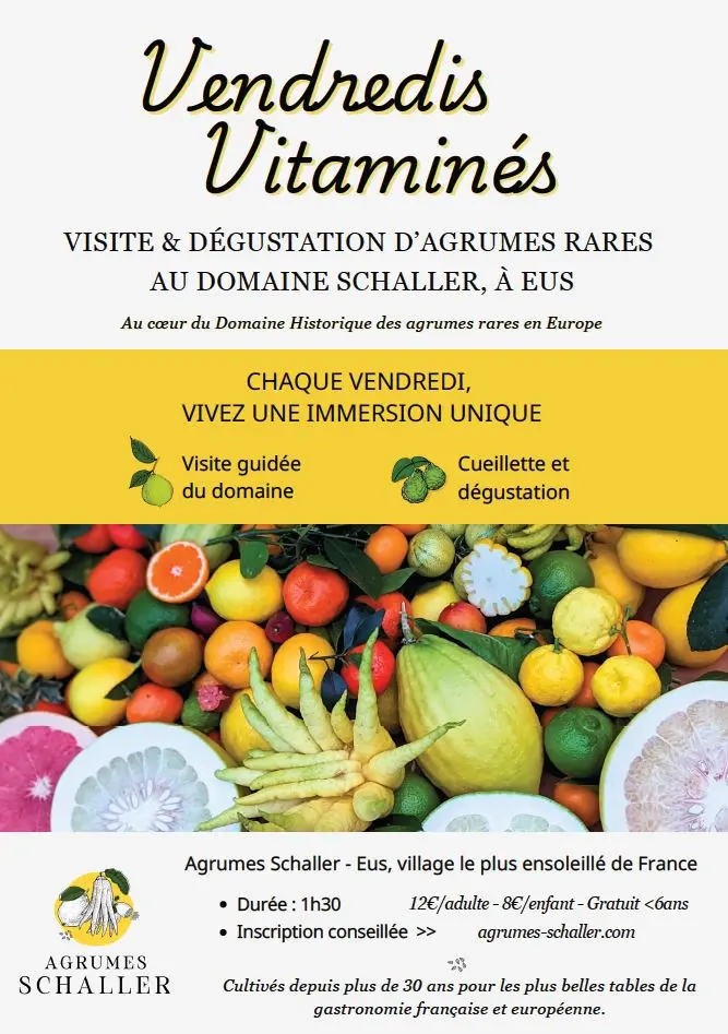 VENDREDIS VITAMINES