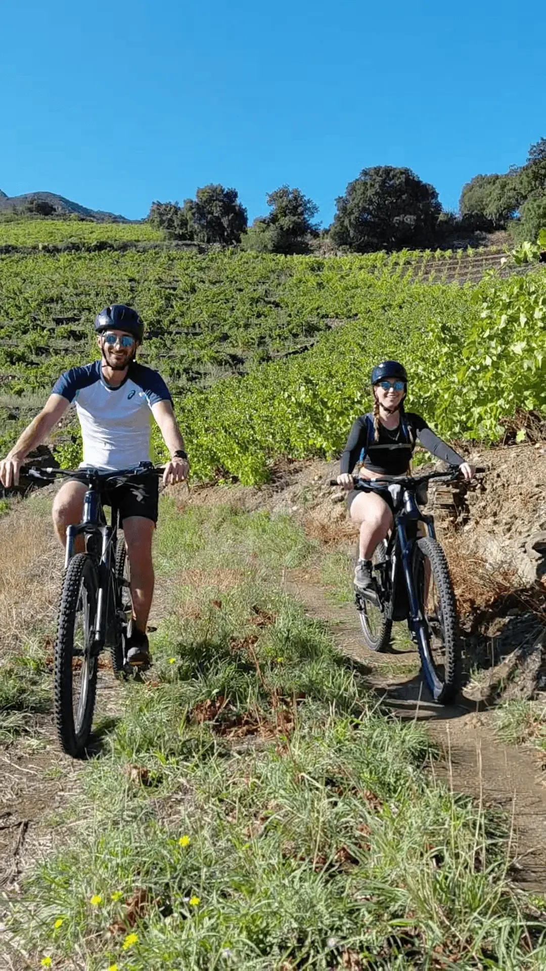 VTT-electrique-Bike-truck-Albera-Collioure