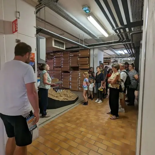 Visite réserves archéologiques