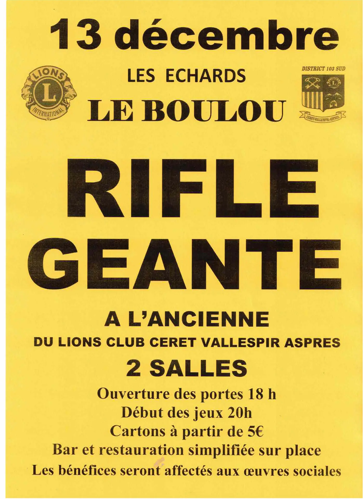 affiche mag 2025jaune