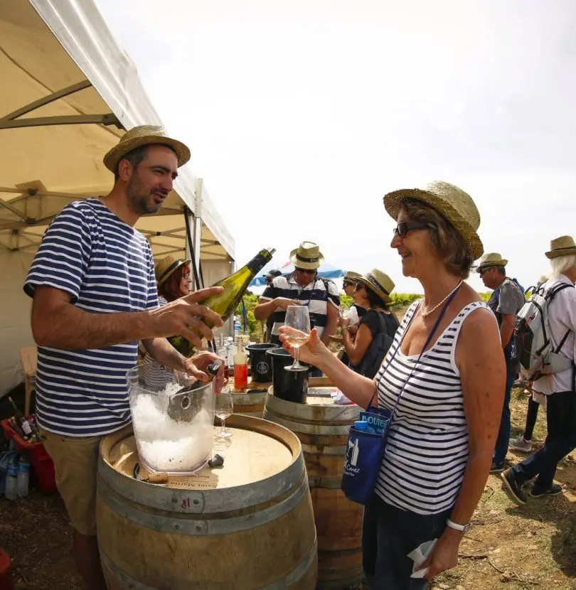 bouteilles-a-la-mer-scaled-qqbtwzzjq3uqchr1l286egeseu7vk6drm4vn0bj5rg