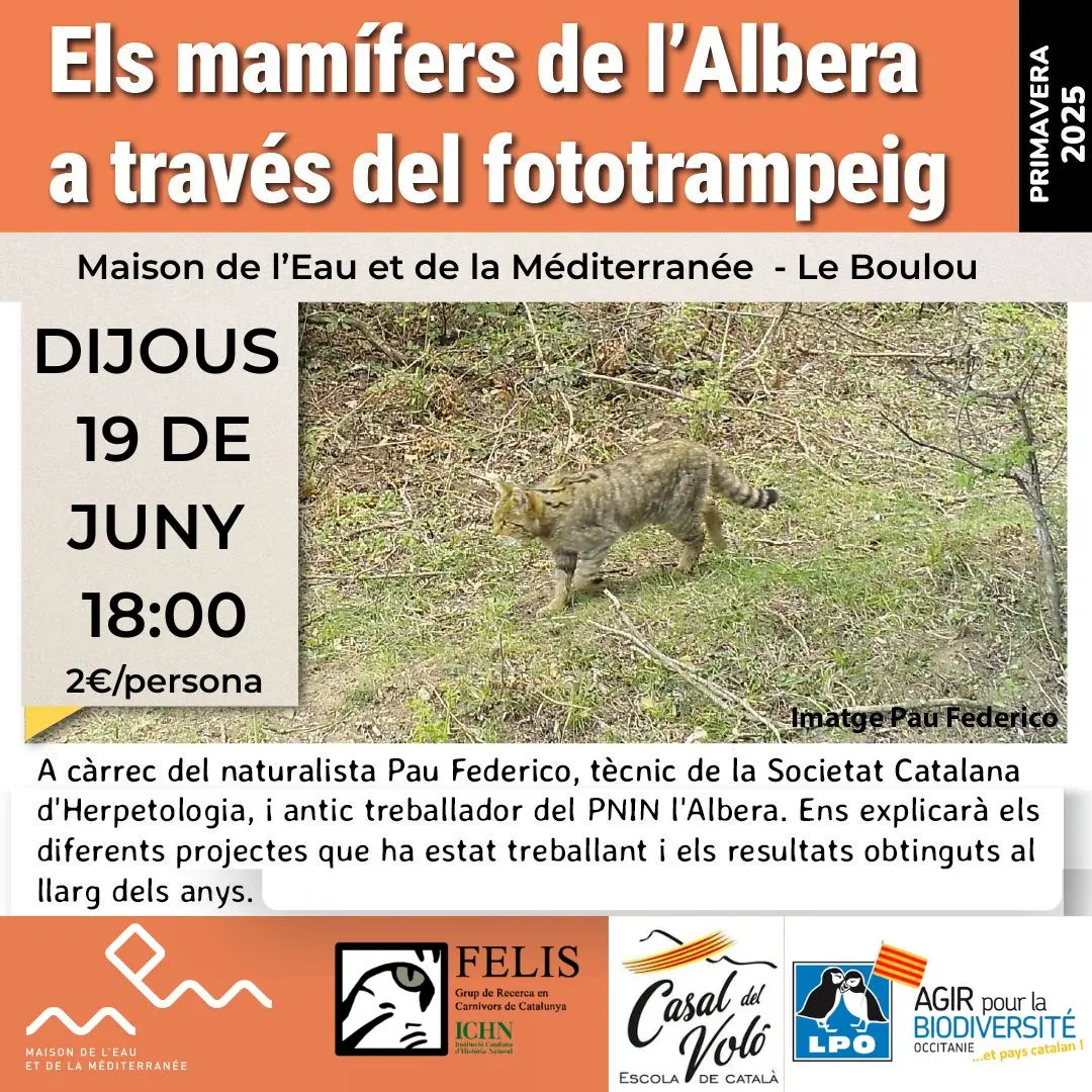 conf catalan MEM 19 juin - 1