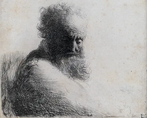 Exposition Darwin