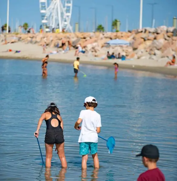 Atelier Peche à pied