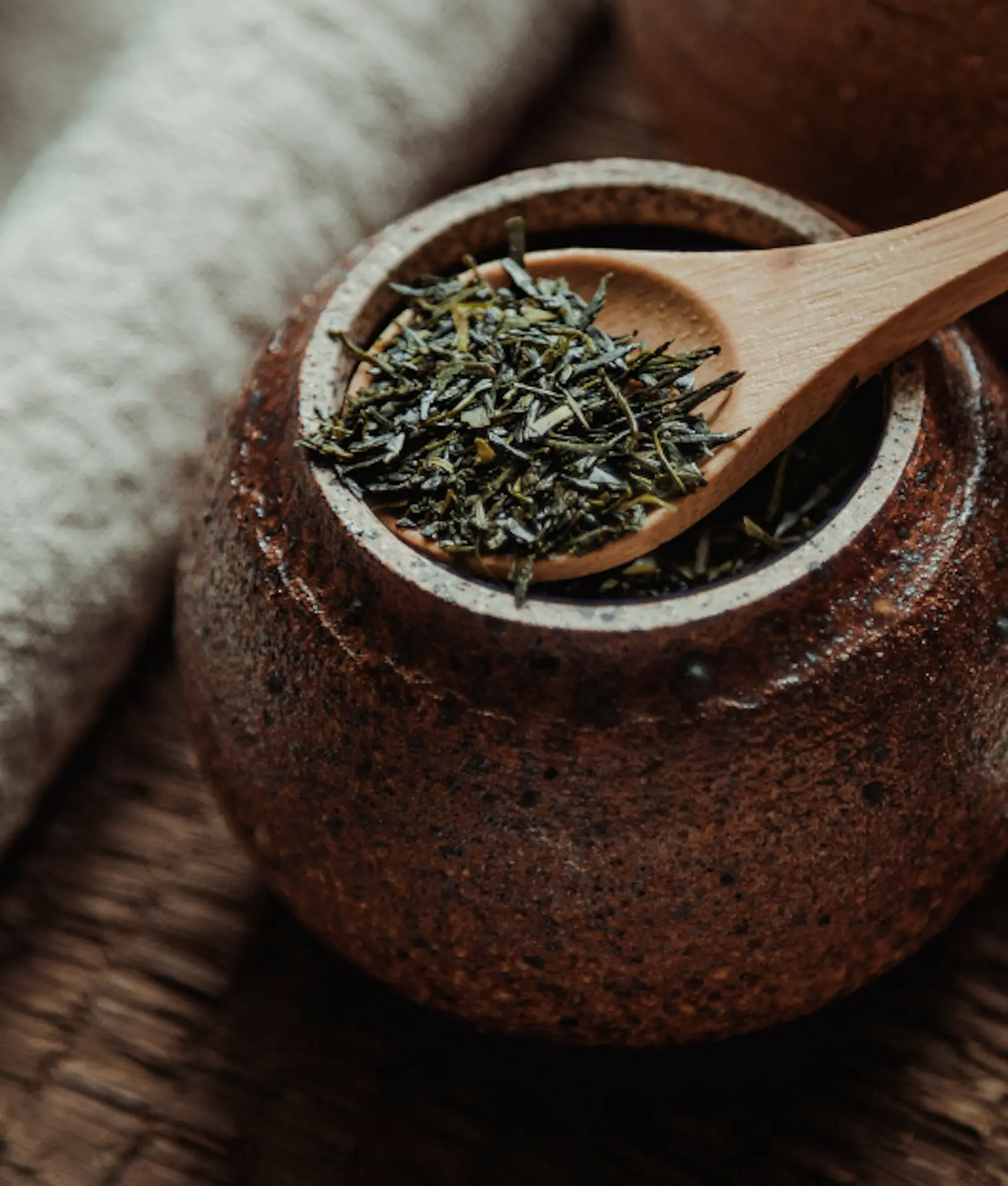 découverte saveur thé