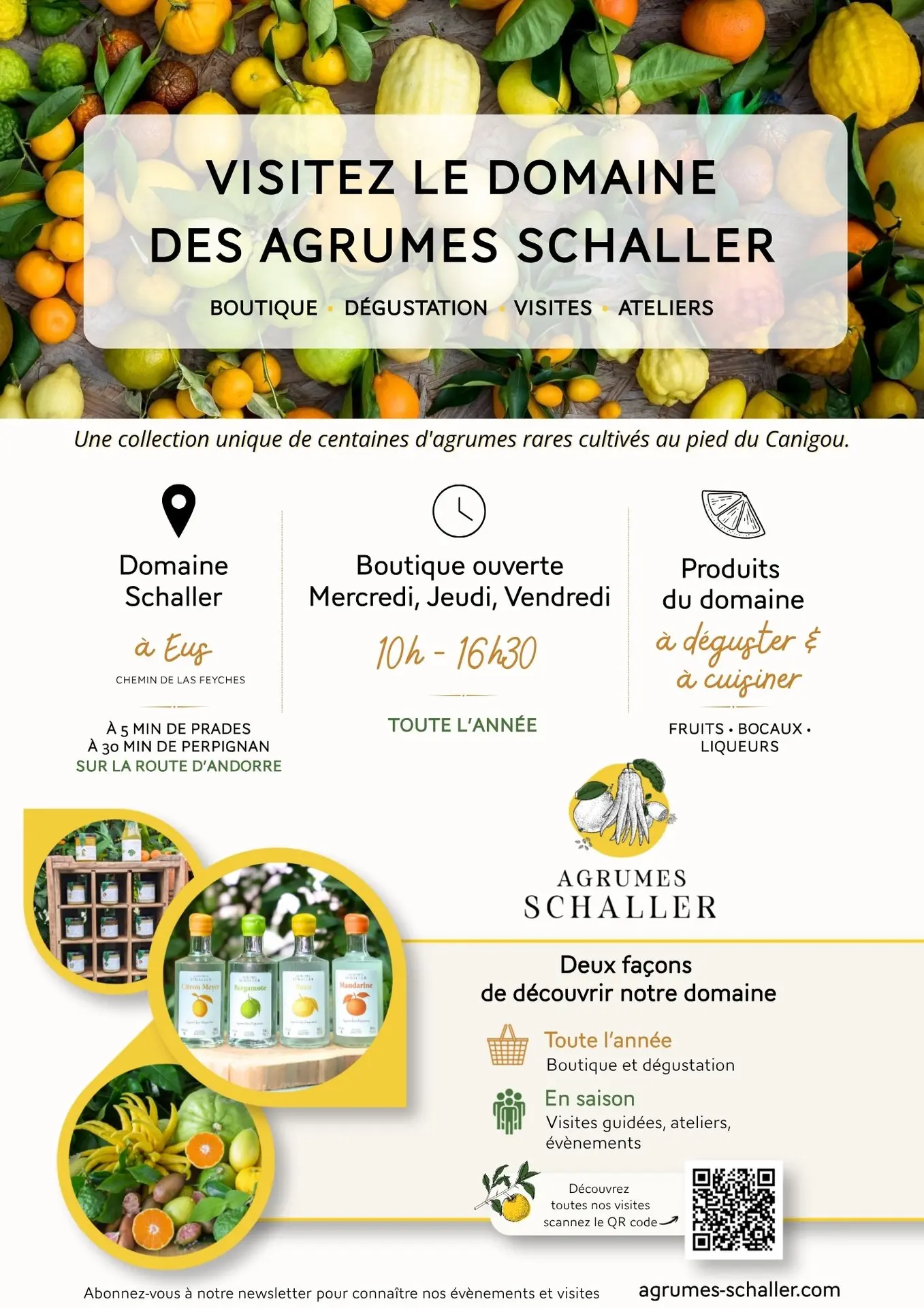 dégustation & vente directe - 1