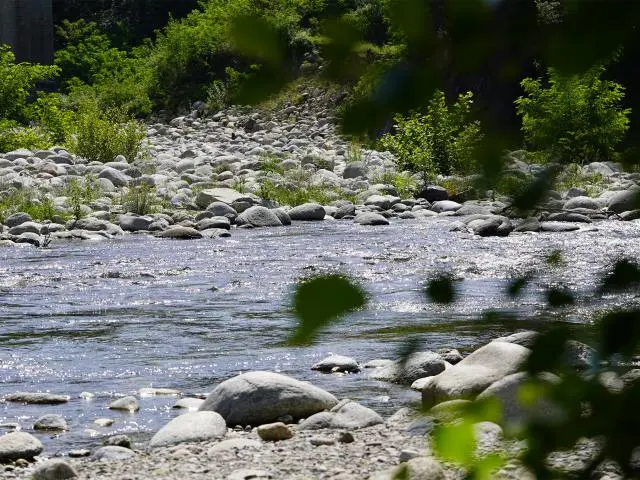 dsc06608-640x480